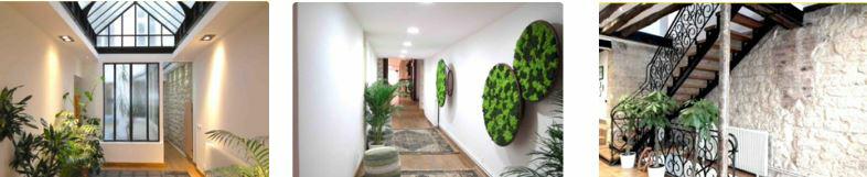 Bureau Paris 500m² Location bureau Paris OLBUR2206396 14
